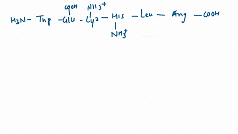 calculate-the-pi-of-the-following-peptide-trp-glu-lys-his-leu-arg-78134