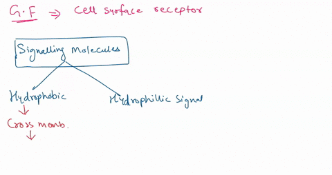 why-growth-factors-can-only-interact-with-cell-surface-receptors-but-not-intracellular-receptors-23662