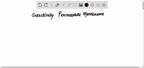 a-membrane-that-is-permeable-to-water-as-well-as-to-some-solute-molecules-is-called_____-group-of-answer-choices-selectively-permeable-impermeable-permeable-all-of-these-83648