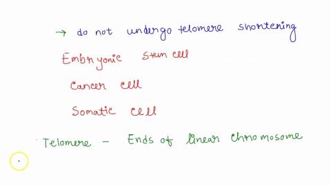 which-of-the-following-cells-do-not-undergo-telomere-shortening-as-a-result-of-mitosis-embryonic-stem-cells-cancer-cells-somatic-cells-96598