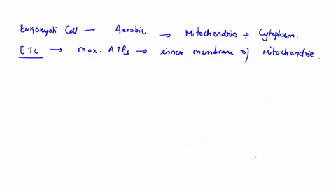 in-prokaryotes-how-many-net-atp-molecules-are-produced-from-the-breakdown-of-one-glucose-via-aerobic-respirationin-prokaryotes-how-many-net-atp-molecules-are-produced-from-the-breakdown-of-o-66632