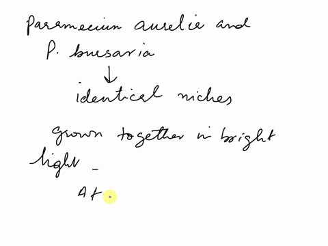 paramecium-aurelia-and-p-bursaria-occupy-nearly-identical-niches-when-grown-together-under-conditions-of-bright-light-p-bursaria-tends-to-level-off-at-higher-population-sizes-than-p-aurelia-87204