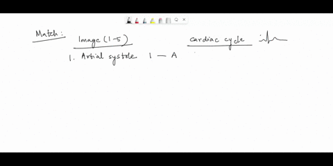 shown-below-at-the-top-of-the-image-1-5-is-the-cardiac-cycle-in-order-starting-with-atrial-systole-and-ending-with-complete-cardiac-diastole-match-the-events-that-occur-on-the-ekg-and-the-he-35408