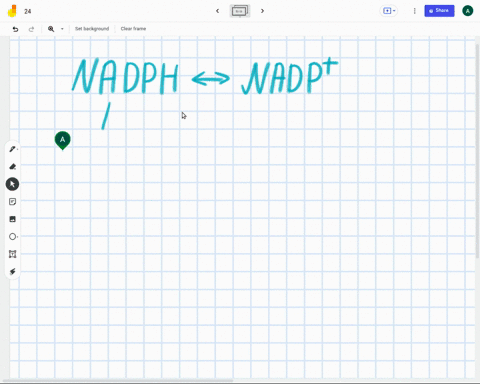how-is-nadph-different-from-nadp-a-it-has-lost-one-electron-b-it-has-gained-one-electron-c-it-has-gained-one-proton-d-it-has-lost-one-proton-45335