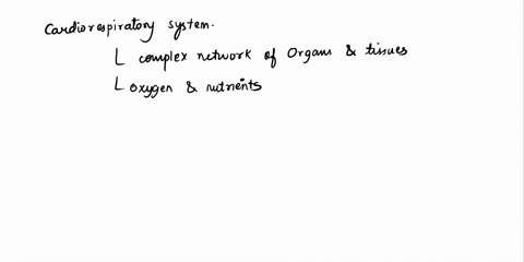 which-of-the-following-is-a-primary-function-of-the-cardiorespiratory-system-during-exercise-regulation-of-body-temperature-regulation-of-blood-glucose-reduction-of-blood-volume-improvement-19536