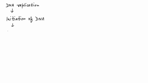during-dna-replication-what-is-the-very-first-process-to-occur-a-synthesis-of-the-lagging-strand-b-sealing-of-the-nicks-between-short-dna-sections-c-synthesis-of-the-leading-strand-d-identif-51145