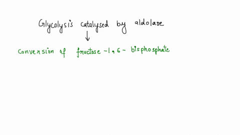 in-glycolysis-the-reaction-catalyzed-by-aldolase-is-favoured-in-the-forward-direction-even-though-is-endergonic-and-freely-reversible-identify-the-reaction-number-and-free-energy-ag-for-this-74197