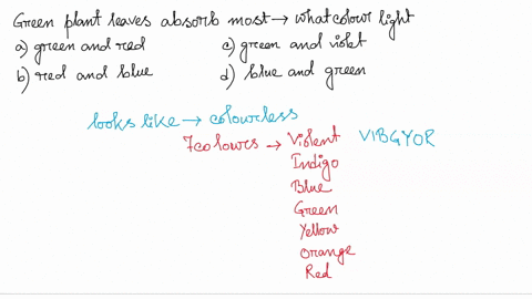 pleaseee-help-brainliest-answer-offered-what-colors-of-visible-light-do-green-plant-leaves-absorb-the-most-green-and-red-red-and-blue-green-and-violet-blue-and-green-69989