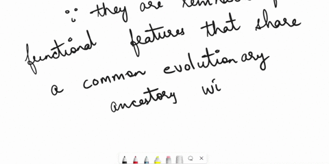 why-are-vestigial-structures-are-considered-examples-ofhomologous-structures-71483