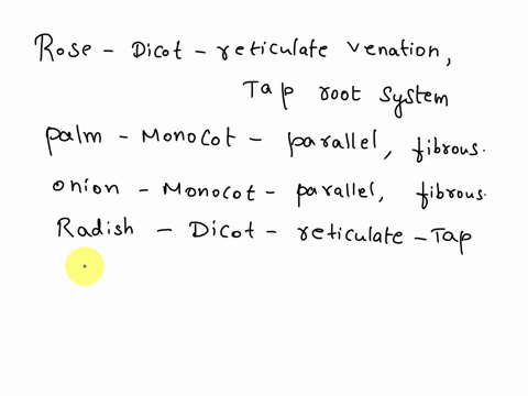 name-the-type-of-venation-found-in-the-following-plants-and-then-classify-them-into-monocot-and-dicot-rose-palm-onion-radish-carrot-mango-banyan-jamun-hibiscus-jasmine-wheat-beans-rice-comme-58082