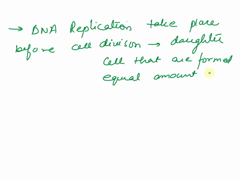 why-is-it-important-that-dna-replication-take-place-before-cell-division-what-would-happen-if-cell-d-24733
