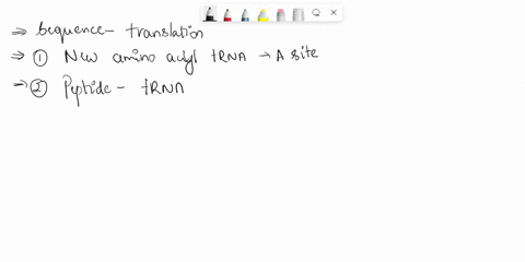 describe-the-sequence-of-events-that-occurs-during-translation-as-a-protein-elongates-by-one-amino-acid-and-the-ribosome-moves-down-the-mrna-your-answer-should-specify-what-is-happening-in-t-77104