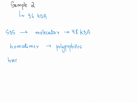 question-18-describe-sample-3-determine-the-weight-of-the-monomer-the-complex-its-polymeric-state-and-whether-or-not-it-contains-disulfides-type-your-text-here-no-sds-native-page-10-sds-10-s-20991