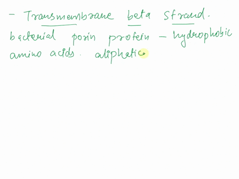 what-amino-acids-compose-the-transmembrane-beta-strand-in-the-structure-of-a-bacterial-porin-protien-95576