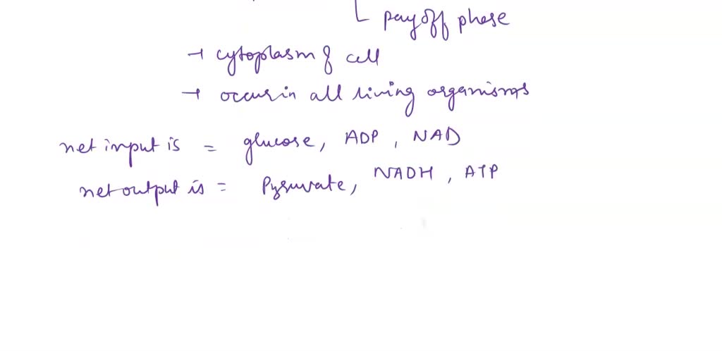 SOLVED: Part A - Glycolysis: From the following compounds involved in ...