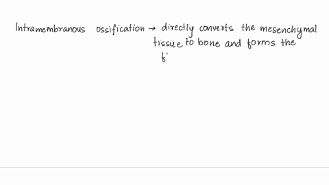 the-processes-of-intramembranous-and-endochondral-ossification-are-similar-in-several-respects-which-of-the-following-statements-applies-to-both-intramembranous-and-endochondral-ossification-44225