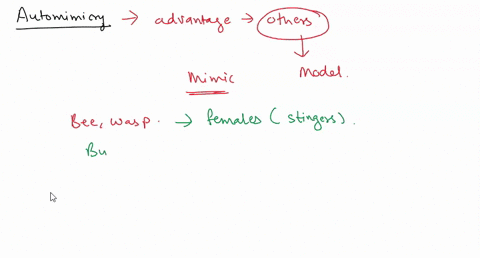 three-answers-apply-to-each-of-questions-1-automimicry-a-can-include-interspecific-models-that-are-protected-and-mimics-b-includes-those-insects-mimicing-the-volkswagen-bug-c-is-well-known-i-93943