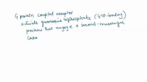 20-what-kind-of-receptors-activate-second-messengers-within-the-post-synaptic-neuronz-what-is-one-example-of-a-function-of-a-second-messenger-what-is-another-name-for-this-type-of-receptor-98003