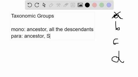 question-1-identify-the-type-of-taxonomic-group-represented-by-group-3-1-pt-group-41-group-hz-group-3-isophyletic-polyphyletic-paraphyletic-monophyletic-92742