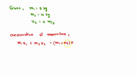 a-5-kg-ball-collides-inelastically-head-on-with-a-10-kg-ball-which-is-initially-stationary-which-of-the-following-statements-is-true-a-both-balls-lose-their-momentum-since-the-collision-is-i-08482