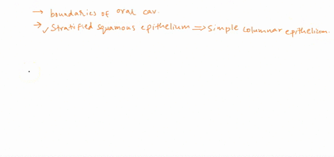 a-describe-the-boundaries-of-the-oral-cavity-b-why-do-you-suppose-its-mucosa-is-stratified-squamous-68779