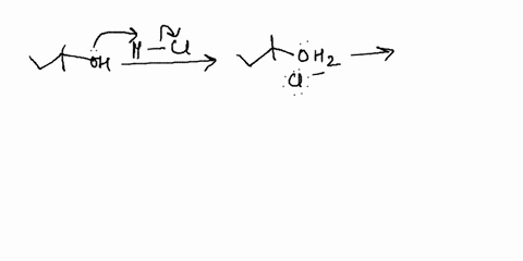 write-out-the-mechanism-for-the-reaction-of-t-pentyl-alcohol-with-concentrated-hydrochloric-acid-including-all-proper-electron-pushing-arrows-what-kind-of-mechanism-is-this-what-is-the-inorg-30957