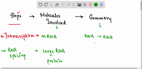 gene-expression-steps-molecules-involved-what-molecules-and-proteins-are-involved-in-this-step-summary-what-happens-during-this-step-transcription-rna-splicing-mrna-transport-translation-pro-57793