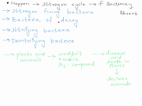what-would-happen-to-the-nitrogen-cycle-if-all-bacteria-were-absent-explain-your-answer-2-30443