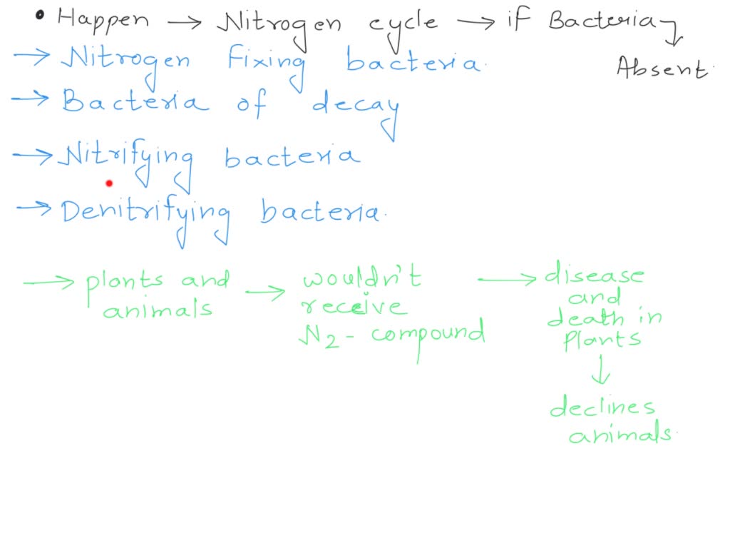 solved-what-would-happen-to-the-nitrogen-cycle-if-all-bacteria-were