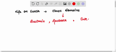 if-you-came-across-an-organism-that-was-a-motile-single-celled-primary-producer-with-a-nucleus-in-which-group-would-place-it-select-one-a-domain-archaea-b-domain-eukarya-c-plant-kingdom-d-an-86303