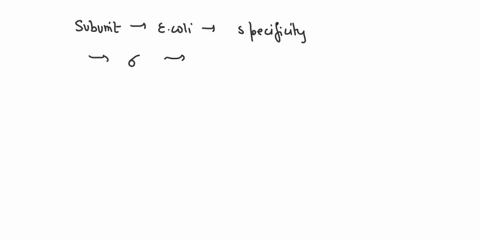 which-subunit-of-the-e-coli-polymerase-confers-specificity-to-transcription-i-i2-i2-i-20308