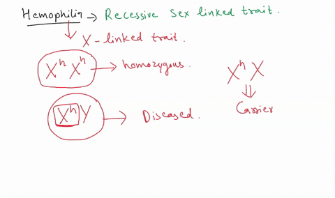 hemophilia-is-recessive-sex-linked-trait-and-is-carried-on-the-x-chromosome-sara-who-had-hemophilia-married-man-tim-who-did-not-have-hemophilia-they-had-2-children-boy-and-girl-use-this-punn-70363