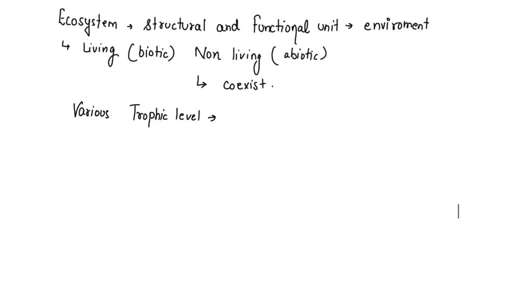 SOLVED: Can a bear use all the energy contained in the body of the fish