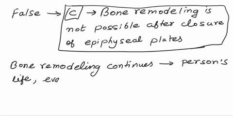 question-142-points-which-of-the-following-is-false-regarding-bone-remodeling-o-bone-remodeling-helps-to-shape-long-bones-during-growth-bone-remodeling-involves-the-activity-of-osteoclasts-a-63166