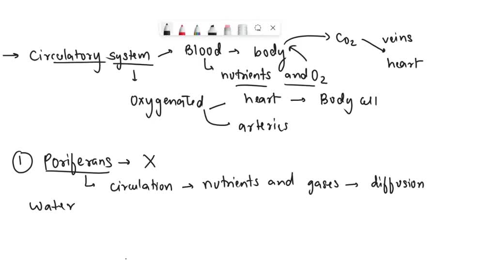 SOLVED 'Discuss the major functions of a circulatory system Compare