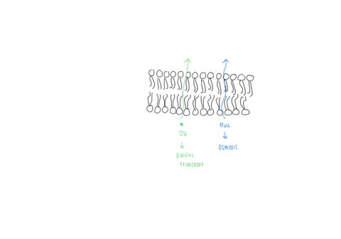 match-the-term-with-its-correct-description-a-transport-protein-d-passive-transport-b-active-transport-e-osmosis-c-diffusion-f-endocytosis-g-exocytosis-h-equilibrium-the-diffusion-of-water-t-57004