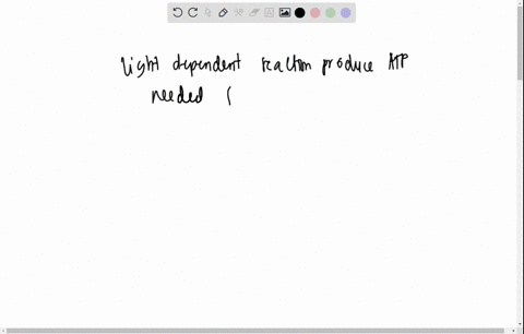 value-2-if-the-purpose-of-photosynthesis-is-to-make-glucose-and-this-is-accomplished-only-in-the-light-independent-reactions-of-photosynthesis-why-ae-the-light-dependent-reactions-needed-at-30944