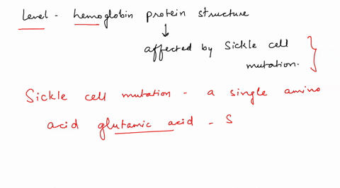 25-which-level-of-hemoglobin-protein-structure-is-most-dramatically-and-problematically-affected-by-the-sickle-cell-mutation-primary-structure-tertiary-structure-b-secondary-structure-quater-81046
