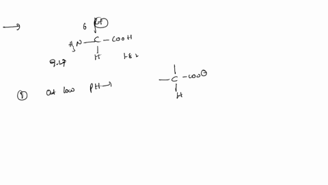 given-the-information-calculate-the-pi-of-histidine-and-show-work-pka-of-alpha-amino-group-917-pka-of-carboxylic-acid-182-pka-of-side-chain-600-draw-the-structure-of-histidine-at-its-isoelec-70927