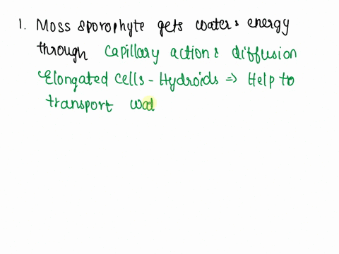 watch-this-video-https-youtube-comwatchlymgckggrnxpmal-z6s-although-mosses-lack-vascular-tissue_-some-have-specialized-elongated-cells-that-help-transport-water-and-fluids-mosses-also-lack-t-66922