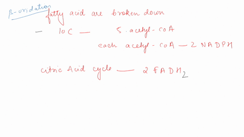 1-in-beta-oxidation-if-you-have-10-nadh-generated-how-many-carbons-long-was-the-fatty-acid-a-22-b-10-c-23-d-11-2-how-many-fadh2-per-citric-acid-cycle-if-one-acetyl-coa-enters-the-citric-acid-86897