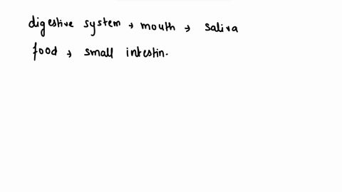 which-is-the-last-section-of-the-digestive-system-small-intestine-liver-large-intestine-rectum-36827