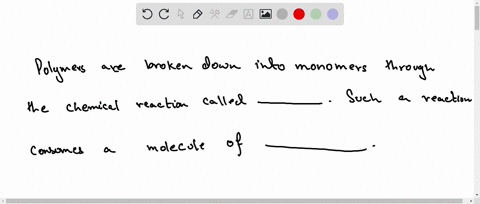 polymers-are-broken-down-into-monomers-through-the-chemical-reaction-called-___________such-a-reacti-52857