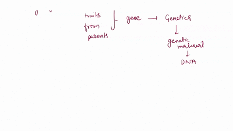 1-basics-of-inheritance-as-a-genetic-counselor-one-must-be-able-to-explain-the-basics-of-genetics-and-inheritance-to-each-couple-or-individual-that-comes-in-for-counseling-in-the-space-below-68523
