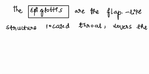 which-organ-covers-the-trachea-and-prevents-the-food-from-entering-into-lungs-87452