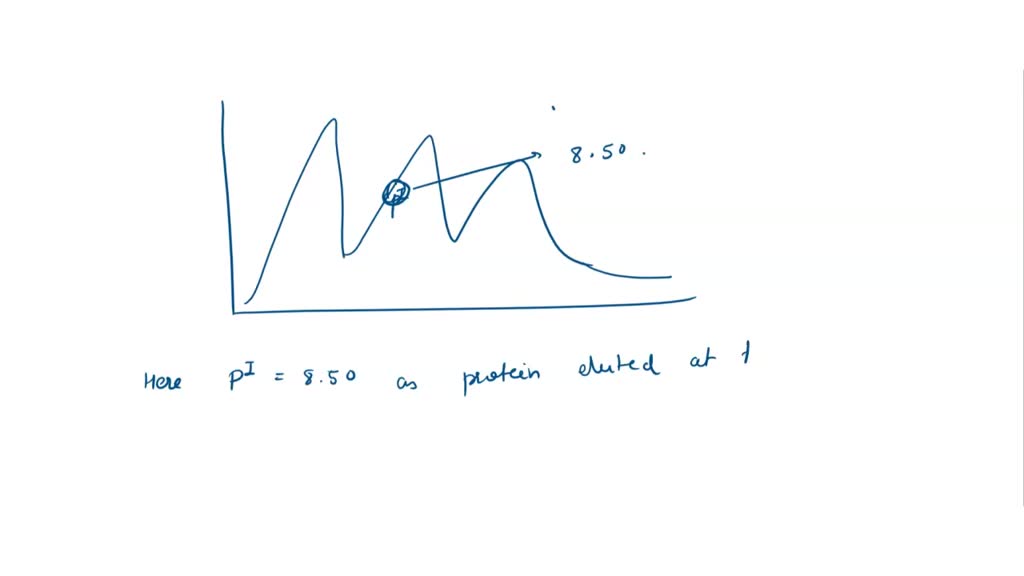 SOLVED Draw the elution profile for a mixture of the five proteins using cationexchange