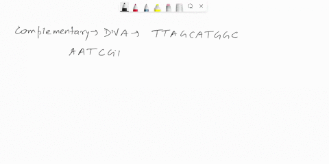 examine-the-sequence-of-bases-below-t-t-a-g-c-a-t-g-g-c-identify-the-complementary-strand-of-dna-for-the-sequence-of-bases-1-t-t-a-g-c-a-t-g-g-c-2-a-a-t-c-g-t-a-c-c-g-3-c-c-g-a-t-g-c-a-a-t-4-41642