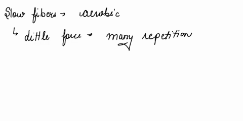 compare-contrast-the-effects-of-aerobic-and-resistance-exercise-on-skeletal-muscles-and-on-other-body-systems-55425