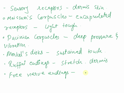 the-integumentary-system-7-list-the-sensory-receptors-found-in-the-dermis-of-the-skin-accessory-organs-of-the-skin-8-match-the-key-choices-with-the-appropriate-descriptions-some-terms-are-us-00378