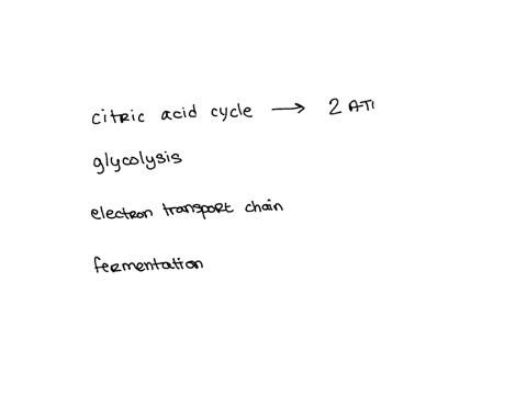 which-of-the-following-pathways-produces-the-greatest-amount-of-atp-a-citric-acid-cycle-b-glycolos-2-46213